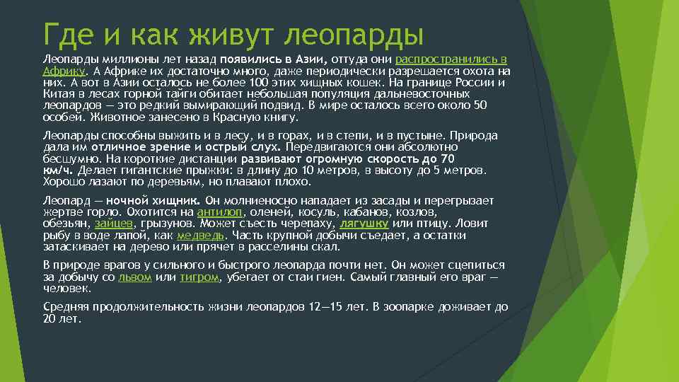 Где и как живут леопарды Леопарды миллионы лет назад появились в Азии, оттуда они