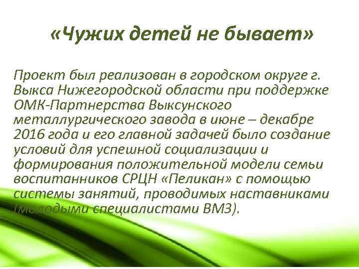  «Чужих детей не бывает» Проект был реализован в городском округе г. Выкса Нижегородской