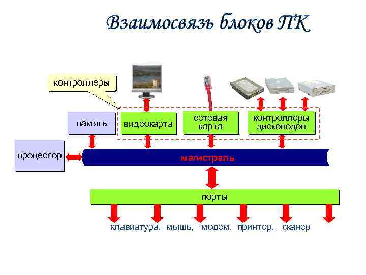 Взаимосвязь блоков ПК контроллеры память процессор видеокарта сетевая карта контроллеры дисководов магистраль порты клавиатура,