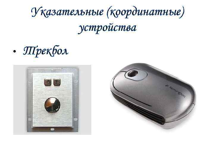 Указательные (координатные) устройства • Трекбол 