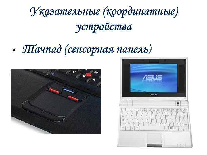 Указательные (координатные) устройства • Тачпад (сенсорная панель) 