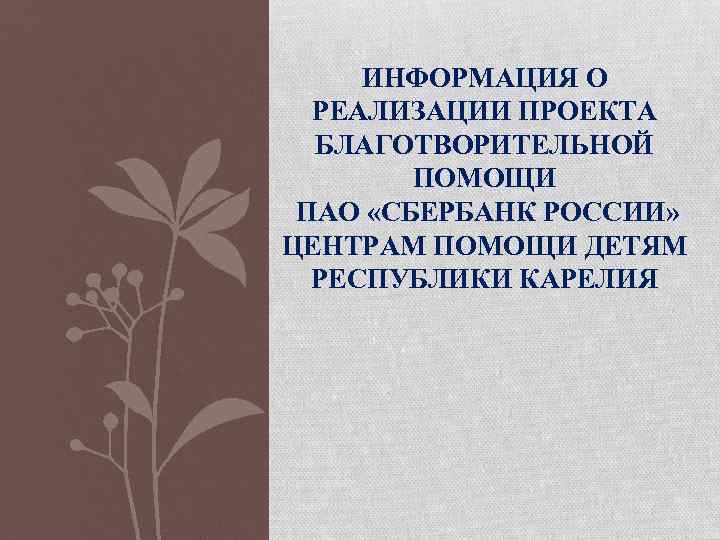 ИНФОРМАЦИЯ О РЕАЛИЗАЦИИ ПРОЕКТА БЛАГОТВОРИТЕЛЬНОЙ ПОМОЩИ ПАО «СБЕРБАНК РОССИИ» ЦЕНТРАМ ПОМОЩИ ДЕТЯМ РЕСПУБЛИКИ КАРЕЛИЯ