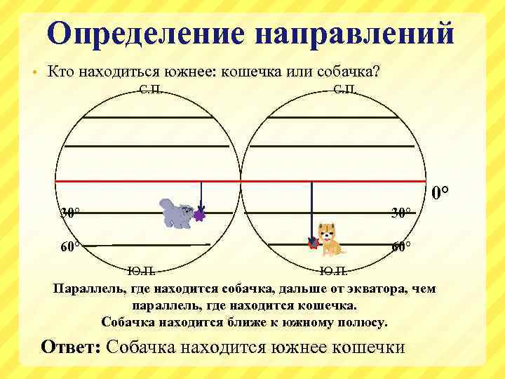 Определение направлений • Кто находиться южнее: кошечка или собачка? С. П. 0° 30° 60°