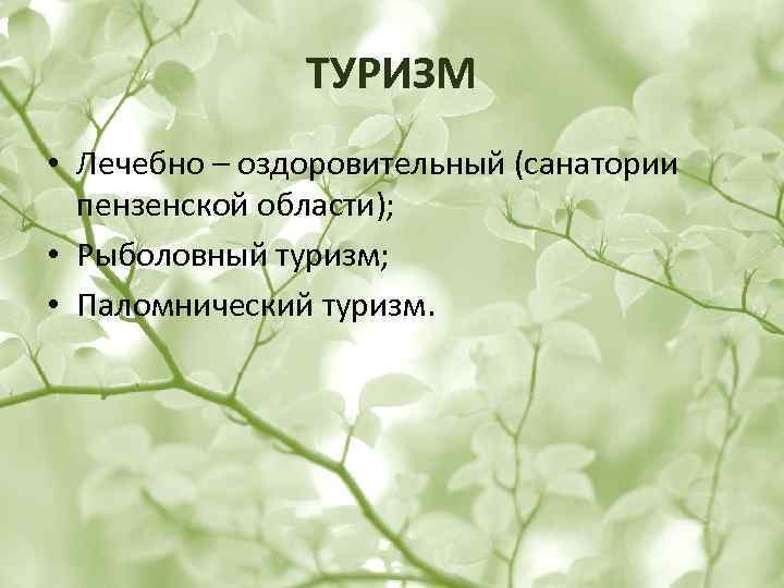 ТУРИЗМ • Лечебно – оздоровительный (санатории пензенской области); • Рыболовный туризм; • Паломнический туризм.