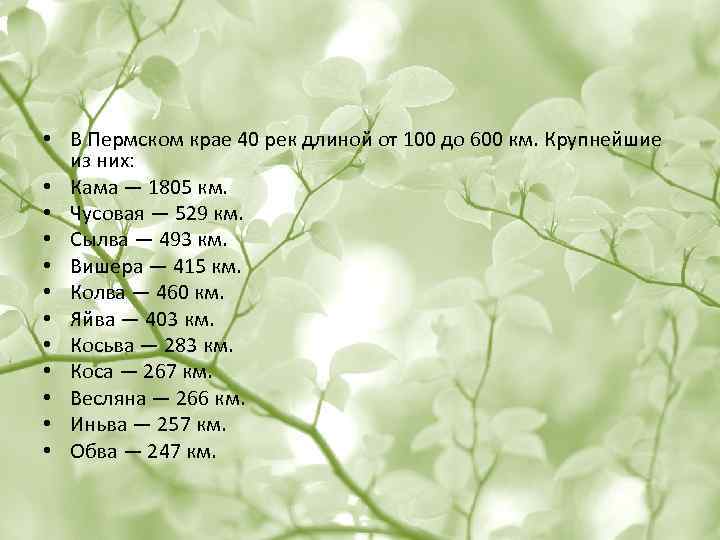  • В Пермском крае 40 рек длиной от 100 до 600 км. Крупнейшие