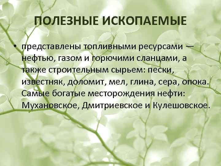 ПОЛЕЗНЫЕ ИСКОПАЕМЫЕ • представлены топливными ресурсами — нефтью, газом и горючими сланцами, а также