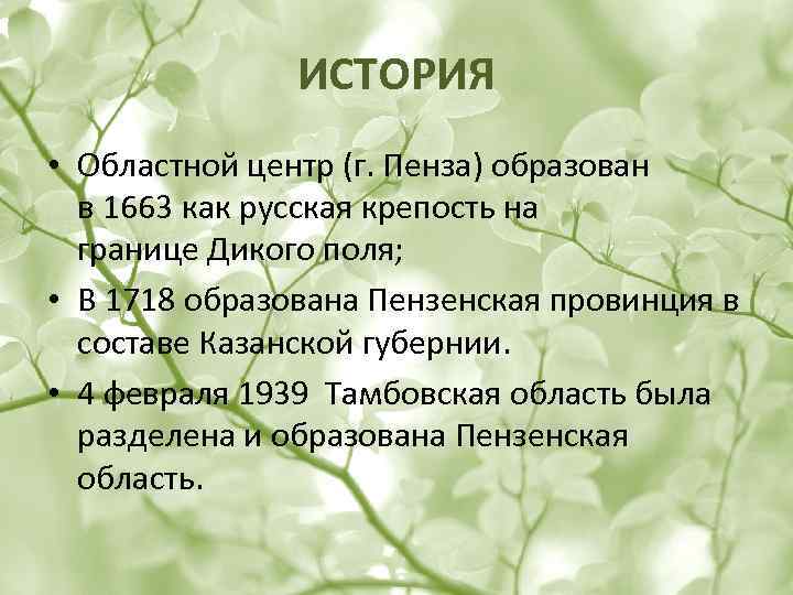 ИСТОРИЯ • Областной центр (г. Пенза) образован в 1663 как русская крепость на границе