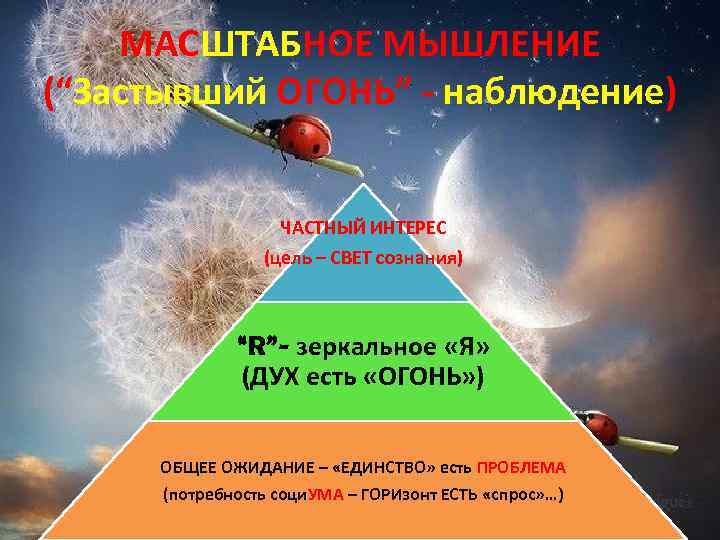 МАСШТАБНОЕ МЫШЛЕНИЕ (“Застывший ОГОНЬ” - наблюдение) ЧАСТНЫЙ ИНТЕРЕС (цель – СВЕТ сознания) “R”- зеркальное