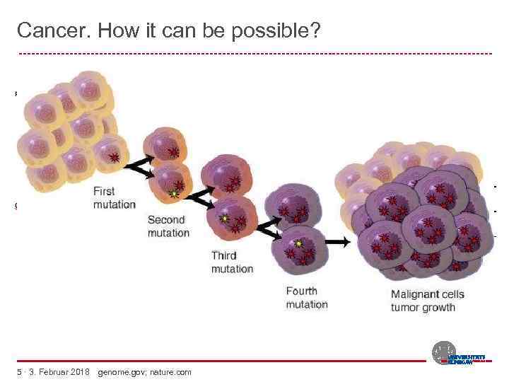 Cancer. How it can be possible? -------------------------------------------------------- 5 · 3. Februar 2018 genome. gov;