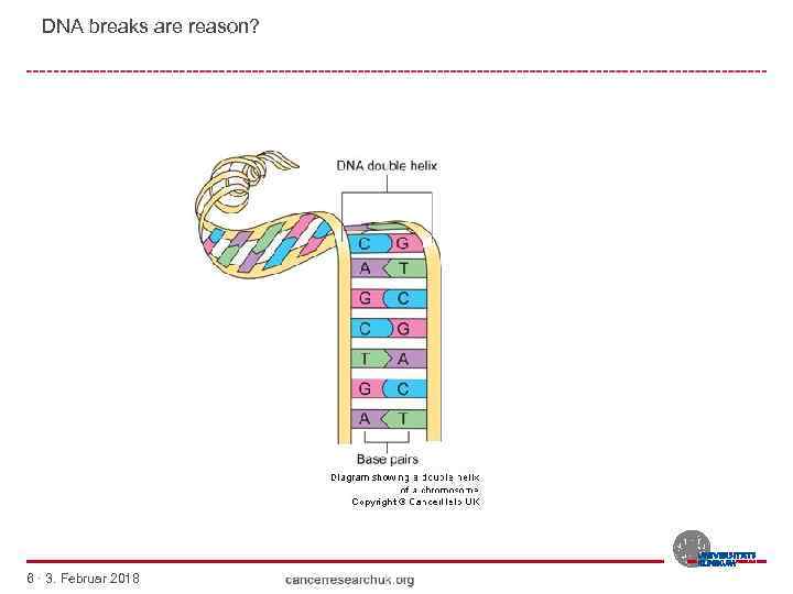 DNA breaks are reason? 6 · 3. Februar 2018 