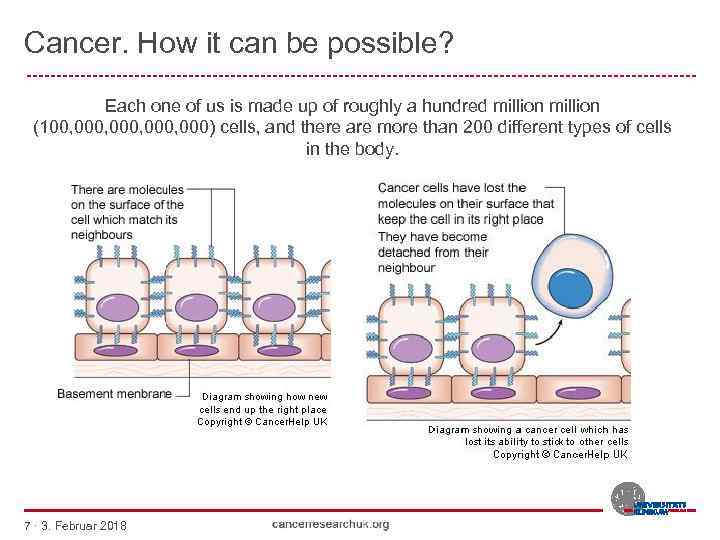 Cancer. How it can be possible? --------------------------------------------------------Each one of us is made up of