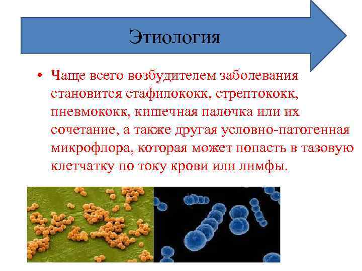 Этиология • Чаще всего возбудителем заболевания становится стафилококк, стрептококк, пневмококк, кишечная палочка или их