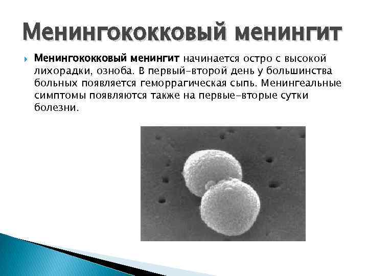 Менингококковый менингит начинается остро с высокой лихорадки, озноба. В первый-второй день у большинства больных