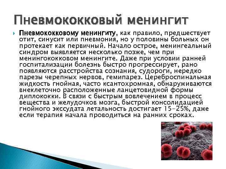 Пневмококковый менингит Пневмококковому менингиту, как правило, предшествует отит, синусит или пневмония, но у половины