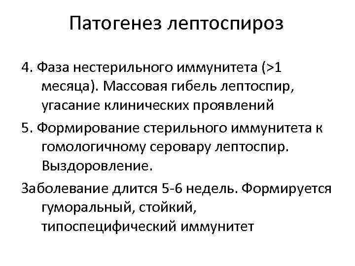 Патогенез лептоспироз 4. Фаза нестерильного иммунитета (>1 месяца). Массовая гибель лептоспир, угасание клинических проявлений