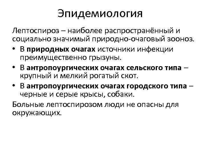 Эпидемиология Лептоспироз – наиболее распространённый и социально значимый природно-очаговый зооноз. • В природных очагах