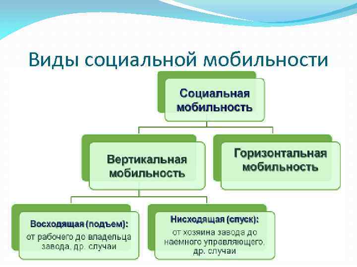 Какой процесс название социальной мобильности