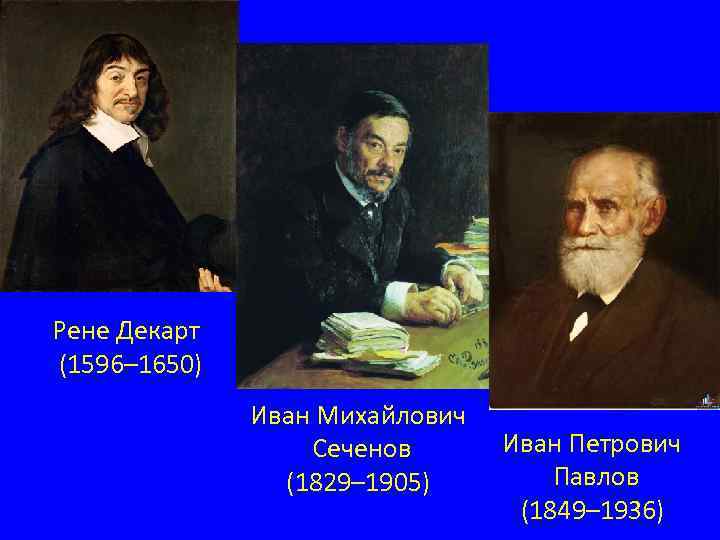 Рене Декарт (1596– 1650) Иван Михайлович Сеченов (1829– 1905) Иван Петрович Павлов (1849– 1936)