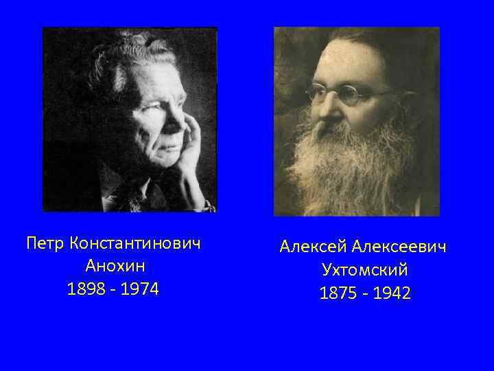 Петр Константинович Анохин 1898 - 1974 Алексей Алексеевич Ухтомский 1875 - 1942 