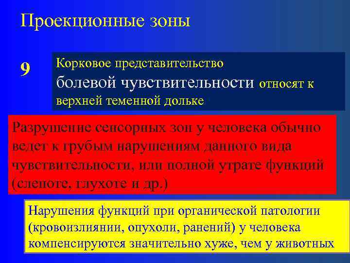 Проекционные зоны 9 Корковое представительство болевой чувствительности относят к верхней теменной дольке Разрушение сенсорных