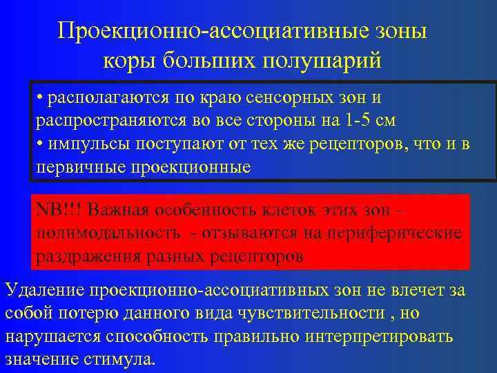 Проекционно-ассоциативные зоны коры больших полушарий • располагаются по краю сенсорных зон и распространяются во