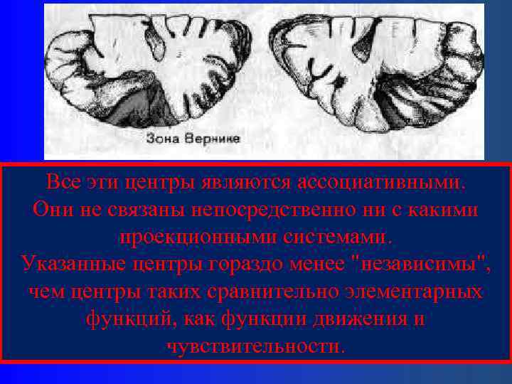 Все эти центры являются ассоциативными. Они не связаны непосредственно ни с какими проекционными системами.