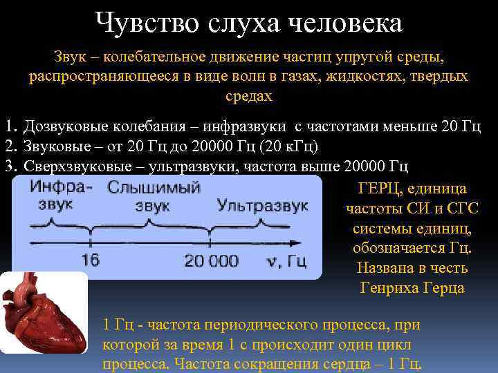 Чувство слуха человека Звук – колебательное движение частиц упругой среды, распространяющееся в виде волн