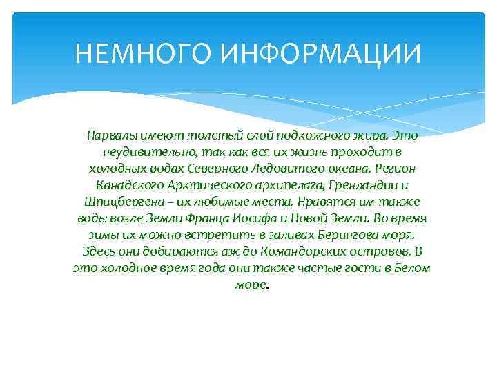 НЕМНОГО ИНФОРМАЦИИ Нарвалы имеют толстый слой подкожного жира. Это неудивительно, так как вся их