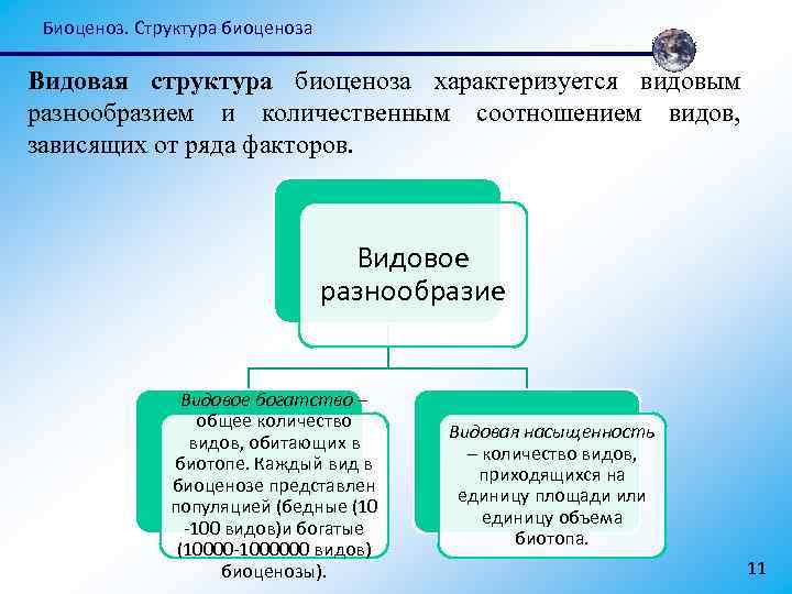 Биоценоз. Структура биоценоза Видовая структура биоценоза характеризуется видовым разнообразием и количественным соотношением видов, зависящих