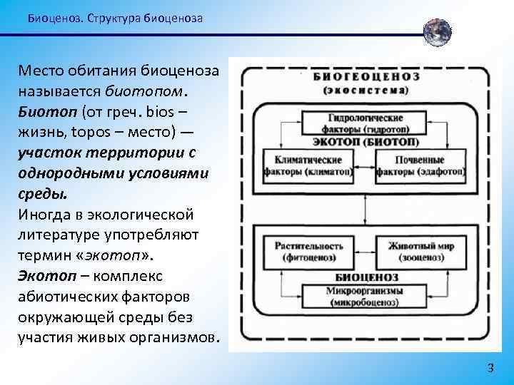 Биоценоз. Структура биоценоза Место обитания биоценоза называется биотопом. Биотоп (от греч. bios – жизнь,