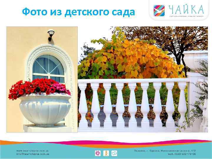 Фото из детского сада 