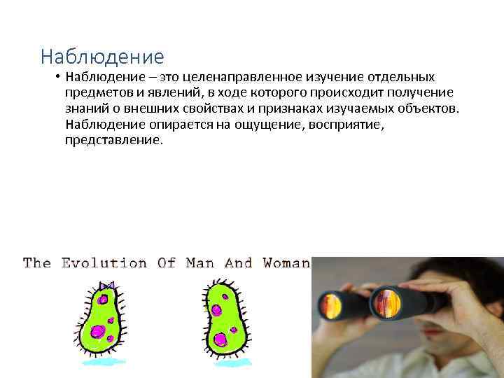 Наблюдение • Наблюдение – это целенаправленное изучение отдельных предметов и явлений, в ходе которого