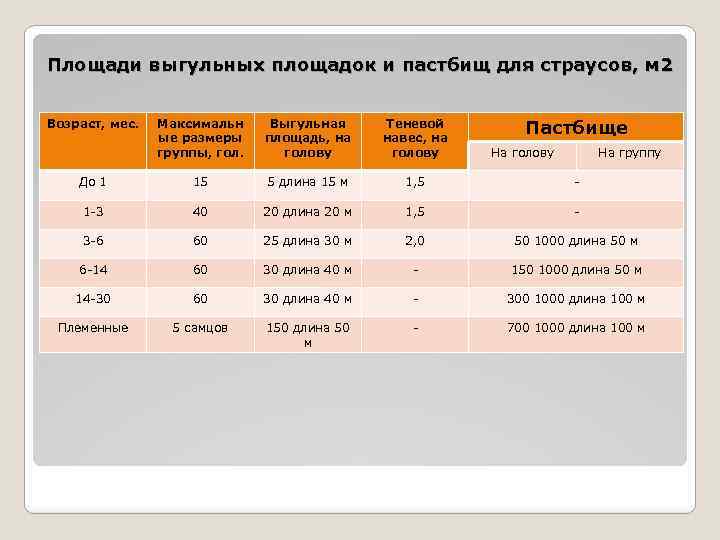 Площади выгульных площадок и пастбищ для страусов, м 2 Возраст, мес. Пастбище Максимальн ые