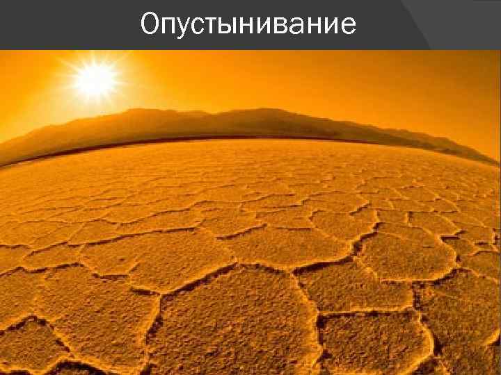 Опустынивание 