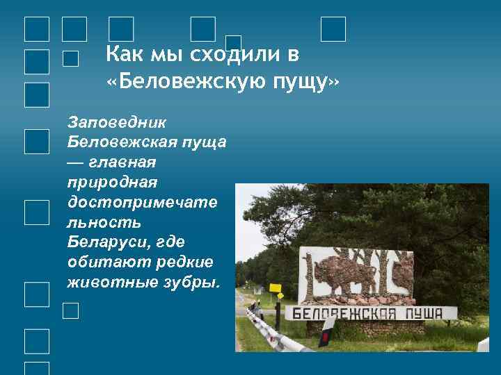 Как мы сходили в «Беловежскую пущу» Заповедник Беловежская пуща — главная природная достопримечате льность