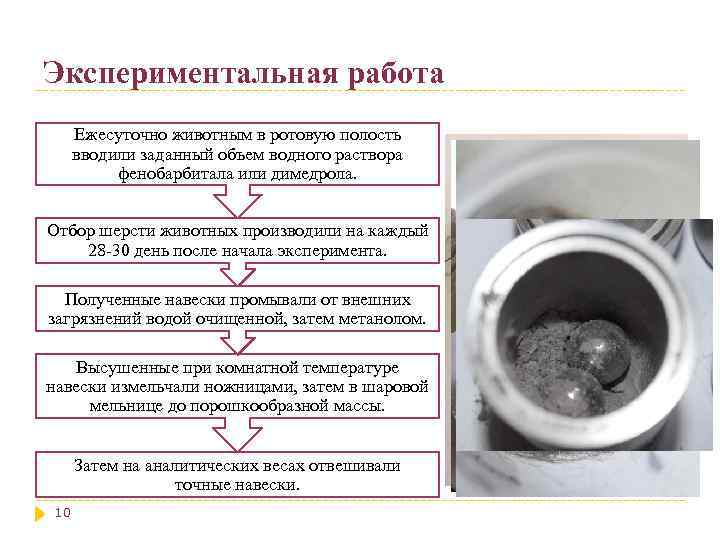 Экспериментальная работа Ежесуточно животным в ротовую полость вводили заданный объем водного раствора фенобарбитала или