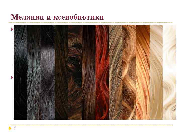 Меланин и ксенобиотики Исследования на животных, описанные в литературе, показали, что концентрация ксенобиотиков в