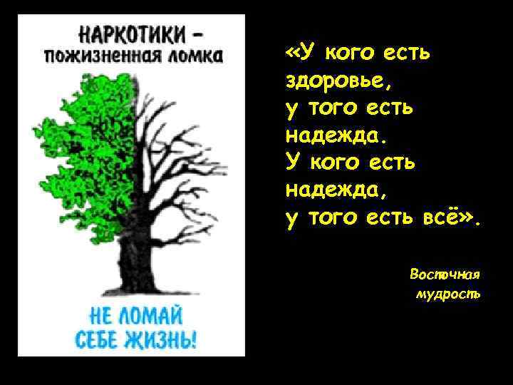  «У кого есть здоровье, у того есть надежда. У кого есть надежда, у