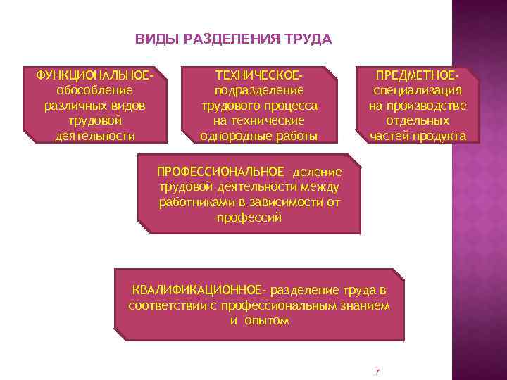 ВИДЫ РАЗДЕЛЕНИЯ ТРУДА ФУНКЦИОНАЛЬНОЕобособление различных видов трудовой деятельности ТЕХНИЧЕСКОЕподразделение трудового процесса на технические однородные