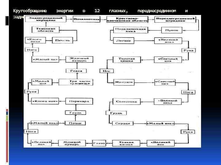 Кругообращение энергии в 12 главных, переднесрединном и заднесрединном меридианах 