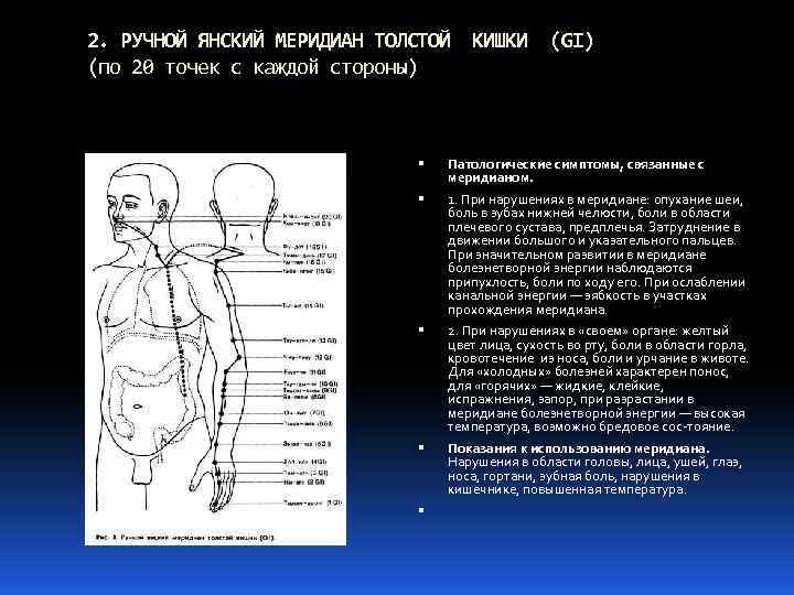 Картинка меридиан толстого кишечника