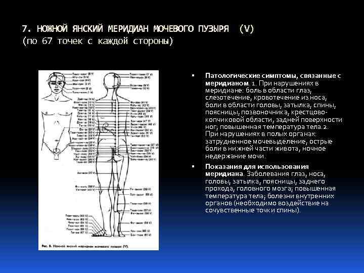 Меридиан мочевого пузыря точки расположения картинки