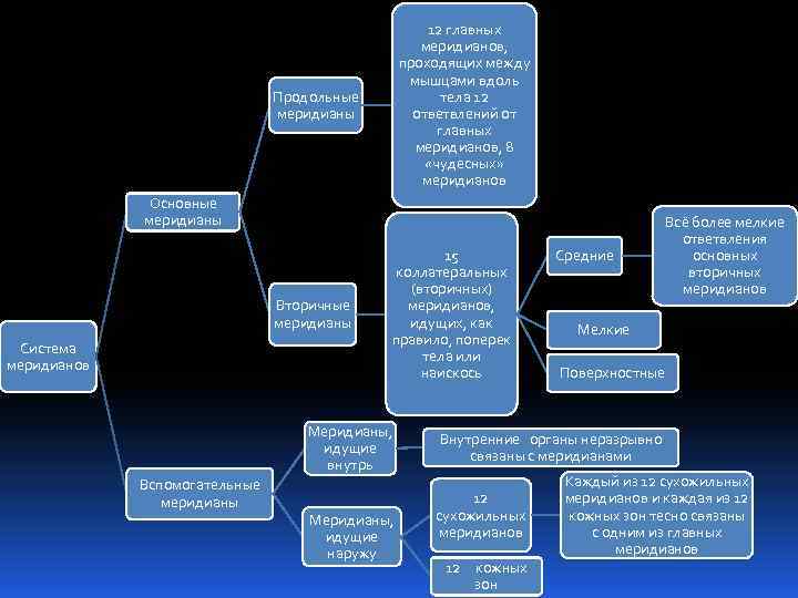 12 главных меридианов, проходящих между мышцами вдоль тела 12 ответвлений от главных меридианов, 8