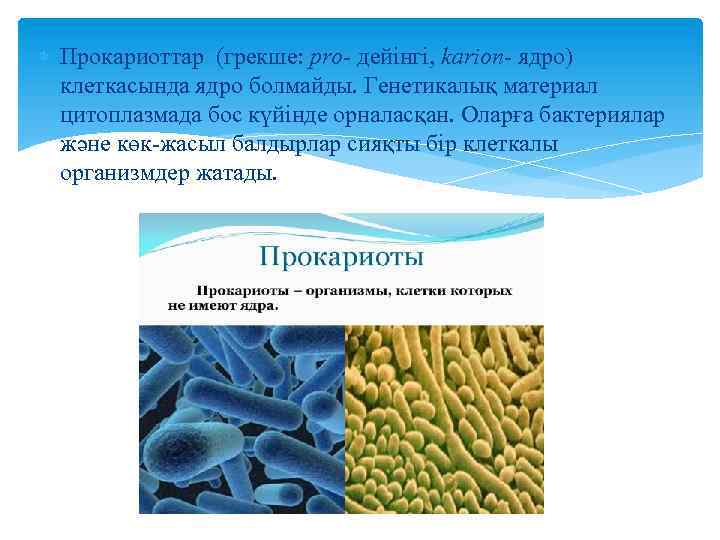  Прокариоттар (грекше: pro- дейінгі, karion- ядро) клеткасында ядро болмайды. Генетикалық материал цитоплазмада бос