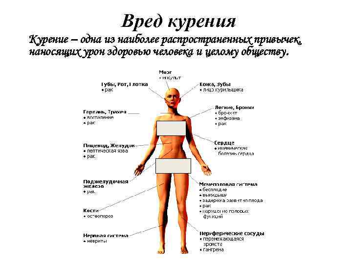 Картинки вред курения на организм человека