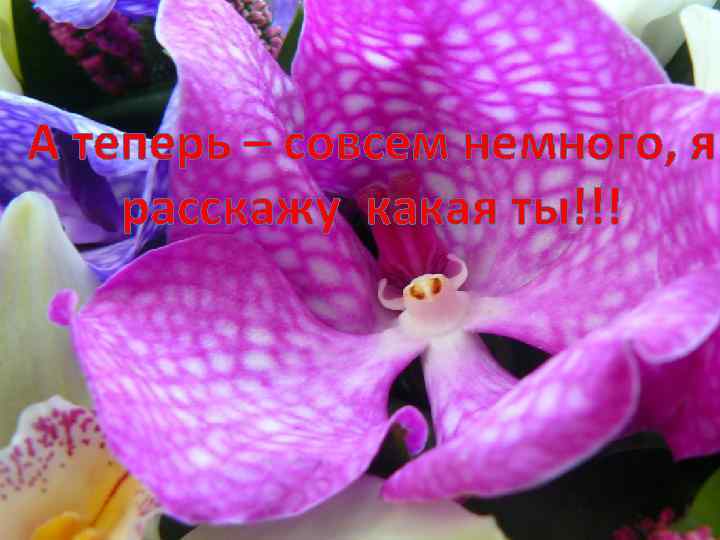 А теперь – совсем немного, я расскажу какая ты!!! 