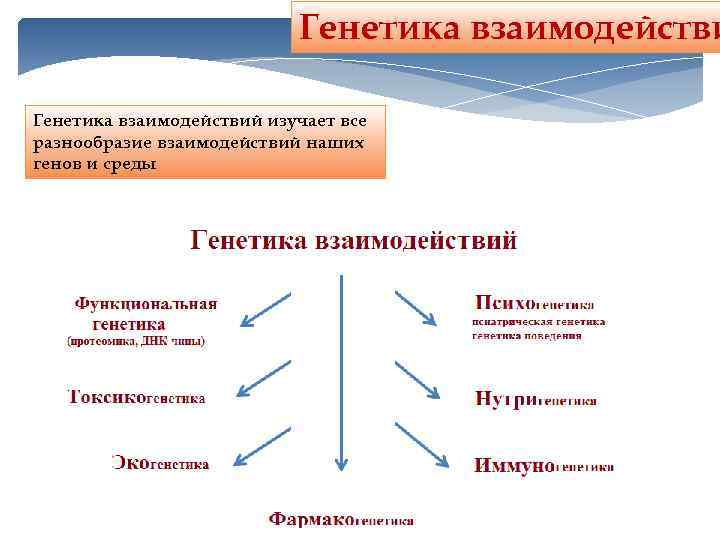 Генетика взаимодействий изучает все разнообразие взаимодействий наших генов и среды 