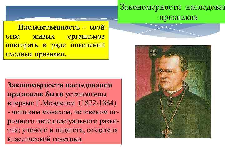 Закономерности наследован признаков Наследственность – свойство живых организмов повторять в ряде поколений сходные признаки.