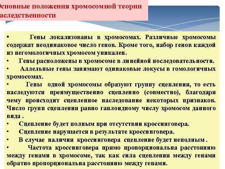 Основные положения хромосомной теории аследственности • Гены локализованы в хромосомах. Различные хромосомы содержат неодинаковое