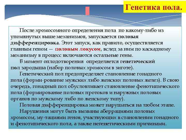 Генетика пола. После хромосомного определения пола по какому-либо из упомянутых выше механизмов, запускается половая